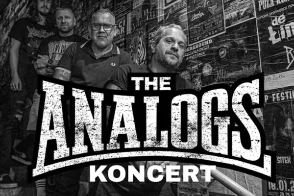 Wejście na The Analogs możliwe w Kołobrzeg